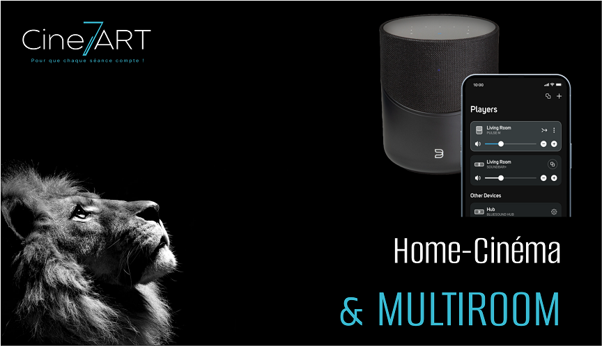 home cinema et multiroom Cine7ART
